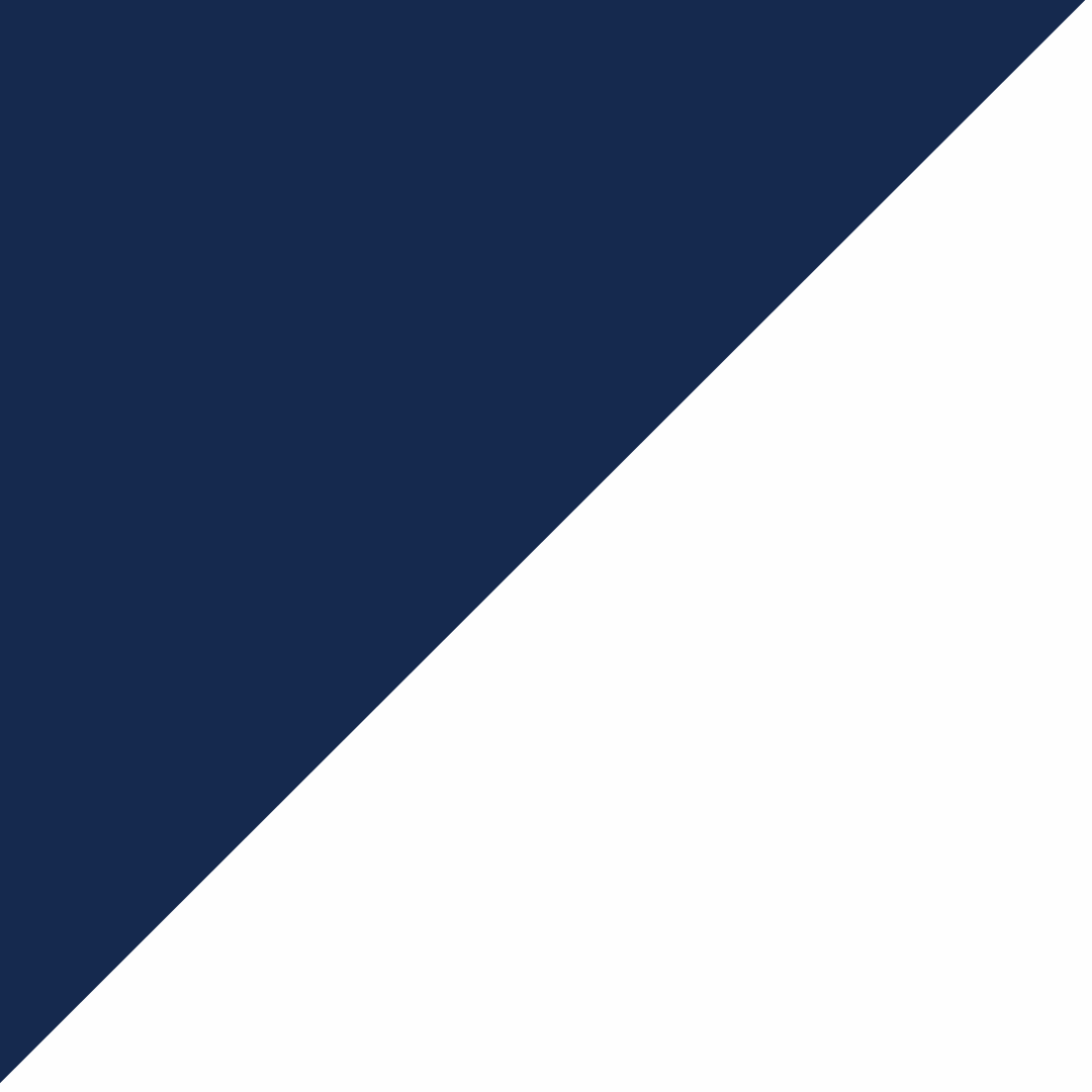 navy/white